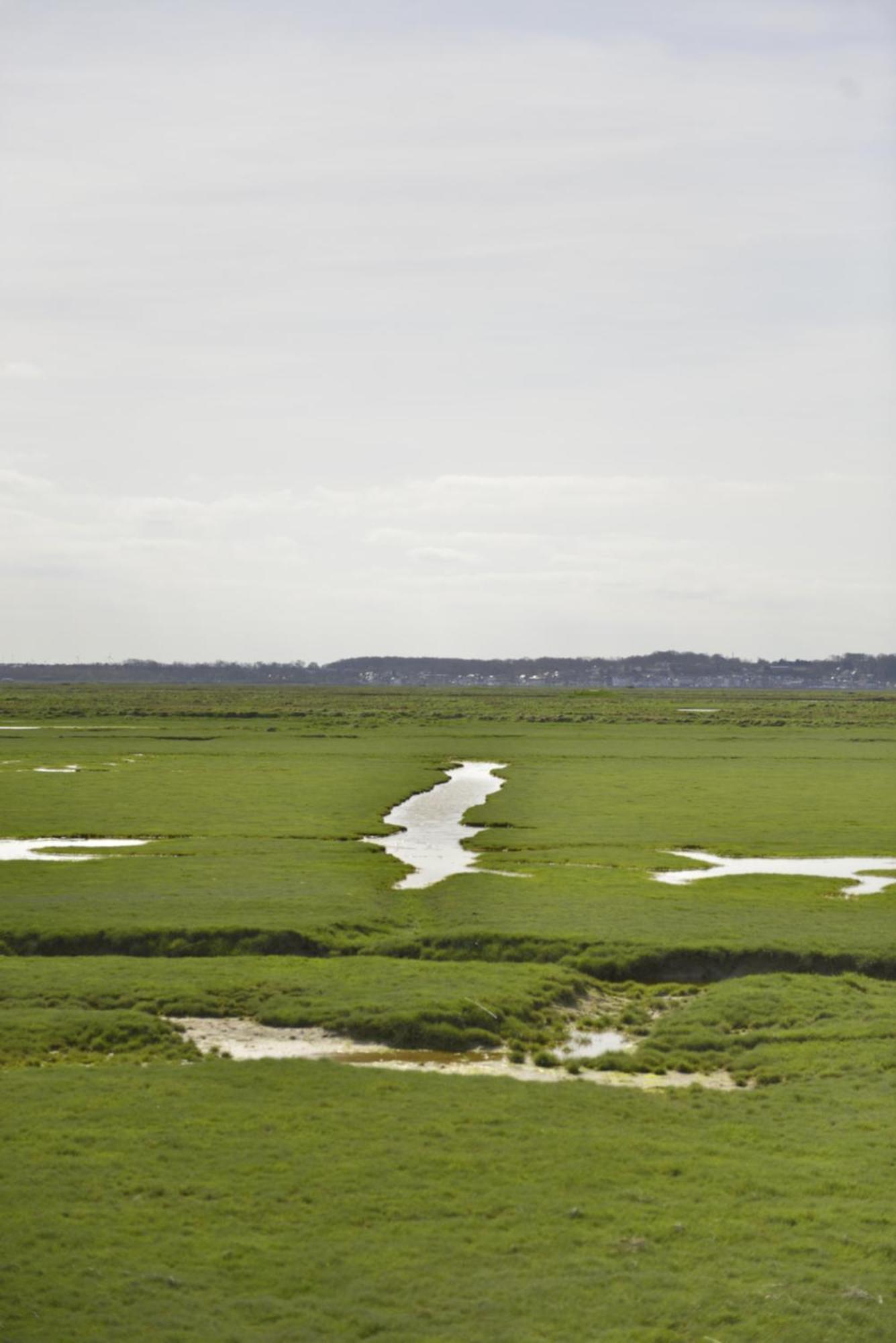 Le Cottage De La Baie - Vue Mer En Baie De Somme Woignarue 외부 사진
